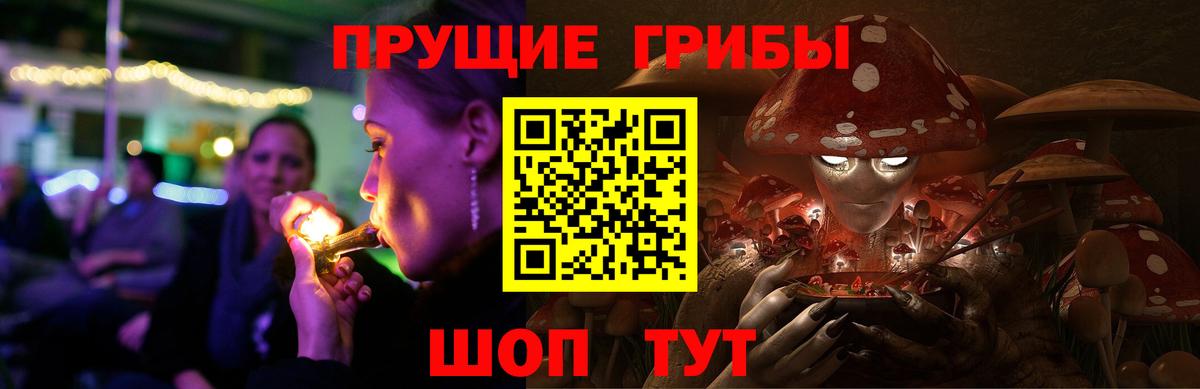 Псилоцибиновые грибы мухоморы  Псилоцибиновые грибы мицелий  Александров  Вход с VPN 